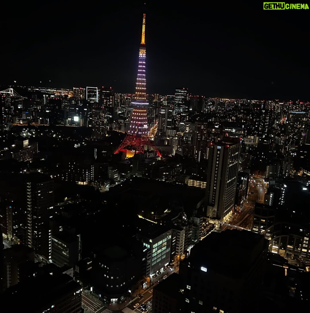Veronica Gentili - 11.8K Likes - Tokyo è un mistero: una gigantesca quantità di elementi perfettamente ordinati che sommati tra loro generano il caos. Ma un caos logico, indiscutibile: un’entropia talmente ragionata da diventare perfetta. 
È come una macchina con gli abbaglianti che ti viene incontro a tutta velocità contromano, ma un attimo prima dell’impatto sterza chirurgicamente e non ti sfiora nemmeno. 
Le senti dentro tutto lo zelo, la disciplina, l’imprevedibilità, la gentilezza, la maniacalitá, la schematicità e la follia di coloro che la abitano. 
È una metropoli di formiche volenterose, che svolgono alacremente le proprie mansioni con il massimo del rigore, ma che appena svoltato l’angolo sono pronte a trasformarsi in cicale che cantano a squarciagola, dimentiche della moderazione e del giudizio altrui. 
È una sinfonia di allegri, andanti, adagi, allegri, presti di cui è impossibile prevedere l’ordine, che ti rapiscono le orecchie e ti confondono la testa. 
Tokyo da sola vale il viaggio. E vale il desiderio di tornarci ancora. Anche solo per continuare l’esercizio impossibile di cercare di capirla, pur sapendo che il suo fascino sta proprio nel fatto che non ci si potrà riuscire.
