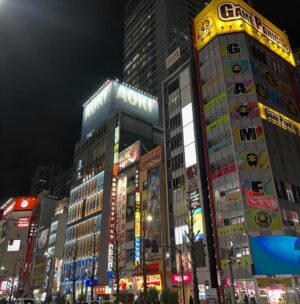 Veronica Gentili Instagram - Tokyo è un mistero: una gigantesca quantità di elementi perfettamente ordinati che sommati tra loro generano il caos. Ma un caos logico, indiscutibile: un’entropia talmente ragionata da diventare perfetta. 
È come una macchina con gli abbaglianti che ti viene incontro a tutta velocità contromano, ma un attimo prima dell’impatto sterza chirurgicamente e non ti sfiora nemmeno. 
Le senti dentro tutto lo zelo, la disciplina, l’imprevedibilità, la gentilezza, la maniacalitá, la schematicità e la follia di coloro che la abitano. 
È una metropoli di formiche volenterose, che svolgono alacremente le proprie mansioni con il massimo del rigore, ma che appena svoltato l’angolo sono pronte a trasformarsi in cicale che cantano a squarciagola, dimentiche della moderazione e del giudizio altrui. 
È una sinfonia di allegri, andanti, adagi, allegri, presti di cui è impossibile prevedere l’ordine, che ti rapiscono le orecchie e ti confondono la testa. 
Tokyo da sola vale il viaggio. E vale il desiderio di tornarci ancora. Anche solo per continuare l’esercizio impossibile di cercare di capirla, pur sapendo che il suo fascino sta proprio nel fatto che non ci si potrà riuscire.