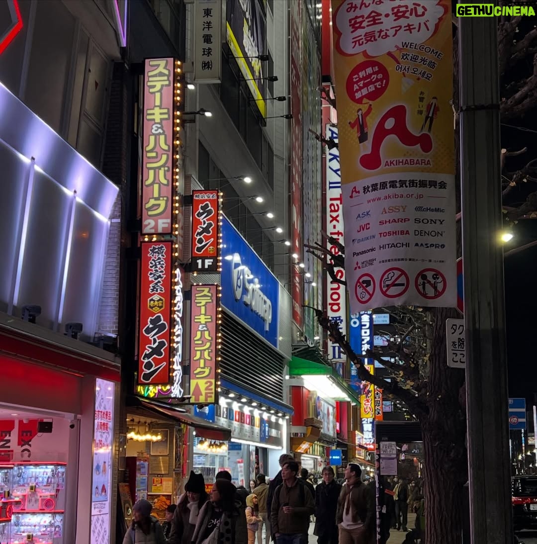 Veronica Gentili - 11.8K Likes - Tokyo è un mistero: una gigantesca quantità di elementi perfettamente ordinati che sommati tra loro generano il caos. Ma un caos logico, indiscutibile: un’entropia talmente ragionata da diventare perfetta. 
È come una macchina con gli abbaglianti che ti viene incontro a tutta velocità contromano, ma un attimo prima dell’impatto sterza chirurgicamente e non ti sfiora nemmeno. 
Le senti dentro tutto lo zelo, la disciplina, l’imprevedibilità, la gentilezza, la maniacalitá, la schematicità e la follia di coloro che la abitano. 
È una metropoli di formiche volenterose, che svolgono alacremente le proprie mansioni con il massimo del rigore, ma che appena svoltato l’angolo sono pronte a trasformarsi in cicale che cantano a squarciagola, dimentiche della moderazione e del giudizio altrui. 
È una sinfonia di allegri, andanti, adagi, allegri, presti di cui è impossibile prevedere l’ordine, che ti rapiscono le orecchie e ti confondono la testa. 
Tokyo da sola vale il viaggio. E vale il desiderio di tornarci ancora. Anche solo per continuare l’esercizio impossibile di cercare di capirla, pur sapendo che il suo fascino sta proprio nel fatto che non ci si potrà riuscire.
