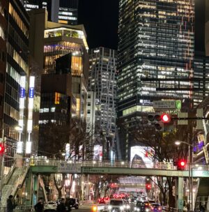 Veronica Gentili Instagram - Tokyo è un mistero: una gigantesca quantità di elementi perfettamente ordinati che sommati tra loro generano il caos. Ma un caos logico, indiscutibile: un’entropia talmente ragionata da diventare perfetta. 
È come una macchina con gli abbaglianti che ti viene incontro a tutta velocità contromano, ma un attimo prima dell’impatto sterza chirurgicamente e non ti sfiora nemmeno. 
Le senti dentro tutto lo zelo, la disciplina, l’imprevedibilità, la gentilezza, la maniacalitá, la schematicità e la follia di coloro che la abitano. 
È una metropoli di formiche volenterose, che svolgono alacremente le proprie mansioni con il massimo del rigore, ma che appena svoltato l’angolo sono pronte a trasformarsi in cicale che cantano a squarciagola, dimentiche della moderazione e del giudizio altrui. 
È una sinfonia di allegri, andanti, adagi, allegri, presti di cui è impossibile prevedere l’ordine, che ti rapiscono le orecchie e ti confondono la testa. 
Tokyo da sola vale il viaggio. E vale il desiderio di tornarci ancora. Anche solo per continuare l’esercizio impossibile di cercare di capirla, pur sapendo che il suo fascino sta proprio nel fatto che non ci si potrà riuscire.