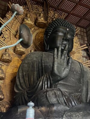 Veronica Gentili Instagram - Oggi sono stata a Nara, antica capitale del Giappone, a mezzora di treno da Kyoto e considerata la culla della cultura giapponese. 
Purtroppo però tutto questo, nella mia gerarchia, è immediatamente passato in secondo piano di fronte agli occhioni dei cervi che passeggiano liberi a spasso per il parco e che ti vengono incontro per fare amicizia ( sí lo so che vogliono le gallette di riso, di cui chiaramente mi sono subito munita, ma d’altronde in quale amicizia non è richiesto un po’ di sano do ut des?! ). 
Nel parco ci sono 1200 esemplari sparsi che se ne vanno in giro tra la gente. Tutti i giapponesi e i turisti che sono lì per visitare il Tempio Todaji, dove pregare o ammirare il Grande Buddha, finiscono irretiti da questi Bambi che scorrazzano dappertutto, finendo quasi per dimenticarsi dove stavano andando. Io poi, che ve lo dico a fare. 
La cosa fantastica è che i piccoli seduttori hanno imparato a fare l’inchino per ringraziare, quindi, se per caso tu non ti fossi già squagliato così, ti vengono incontro e si profondono in riverenze. A breve mi aspetto che imparino anche a rispondere ‘arigatou gozaimasu’ ad ogni morso di galletta. 
Dall’interno del tempio, dai suoi 15 metri di altezza, Buddha sorride sotto i baffi e aspetta che la parentesi cervi si concluda spontaneamente. 
Pare venga da qui la proverbiale calma buddhista.