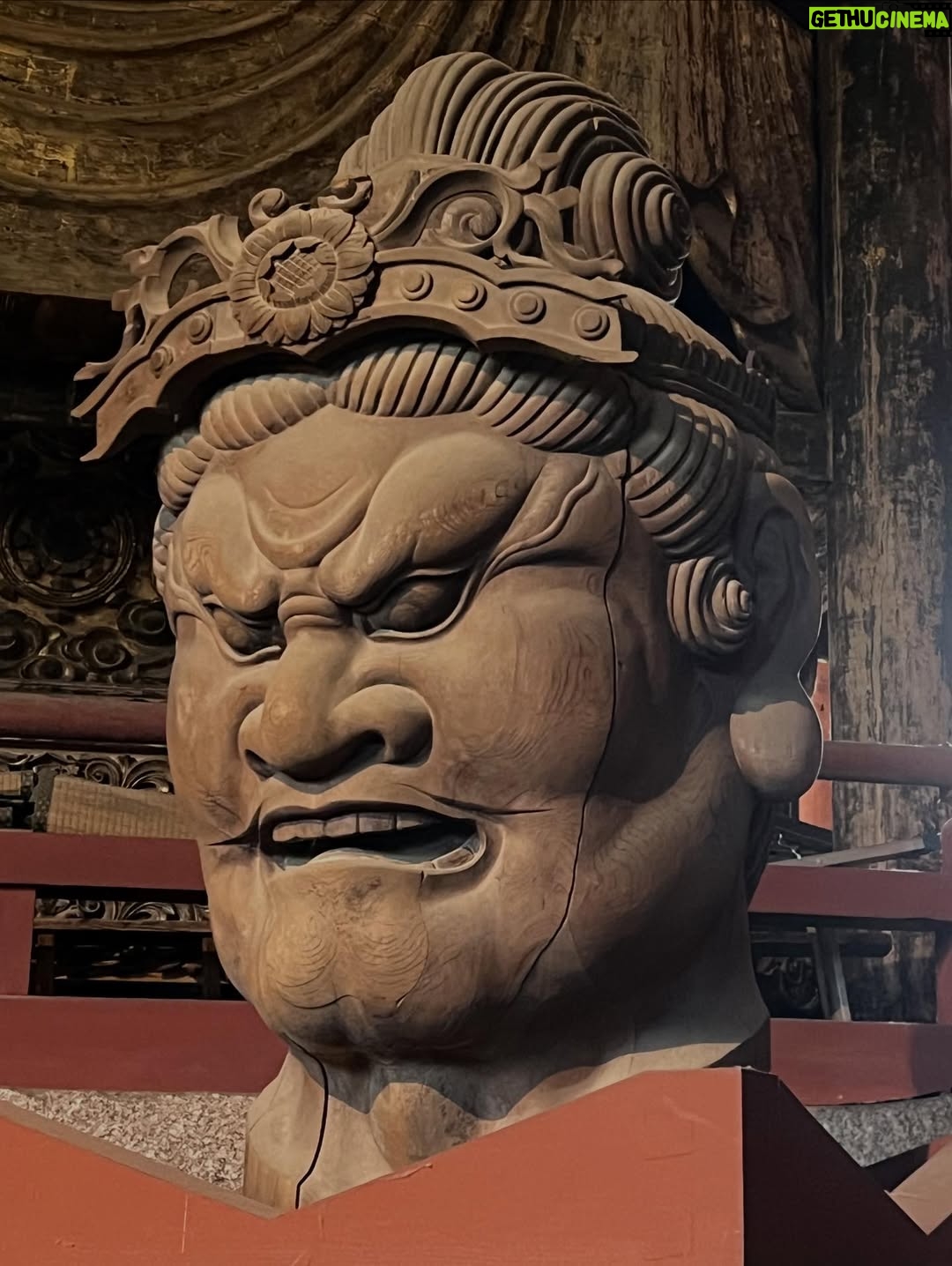 Veronica Gentili - 9.2K Likes - Oggi sono stata a Nara, antica capitale del Giappone, a mezzora di treno da Kyoto e considerata la culla della cultura giapponese. 
Purtroppo però tutto questo, nella mia gerarchia, è immediatamente passato in secondo piano di fronte agli occhioni dei cervi che passeggiano liberi a spasso per il parco e che ti vengono incontro per fare amicizia ( sí lo so che vogliono le gallette di riso, di cui chiaramente mi sono subito munita, ma d’altronde in quale amicizia non è richiesto un po’ di sano do ut des?! ). 
Nel parco ci sono 1200 esemplari sparsi che se ne vanno in giro tra la gente. Tutti i giapponesi e i turisti che sono lì per visitare il Tempio Todaji, dove pregare o ammirare il Grande Buddha, finiscono irretiti da questi Bambi che scorrazzano dappertutto, finendo quasi per dimenticarsi dove stavano andando. Io poi, che ve lo dico a fare. 
La cosa fantastica è che i piccoli seduttori hanno imparato a fare l’inchino per ringraziare, quindi, se per caso tu non ti fossi già squagliato così, ti vengono incontro e si profondono in riverenze. A breve mi aspetto che imparino anche a rispondere ‘arigatou gozaimasu’ ad ogni morso di galletta. 
Dall’interno del tempio, dai suoi 15 metri di altezza, Buddha sorride sotto i baffi e aspetta che la parentesi cervi si concluda spontaneamente. 
Pare venga da qui la proverbiale calma buddhista.