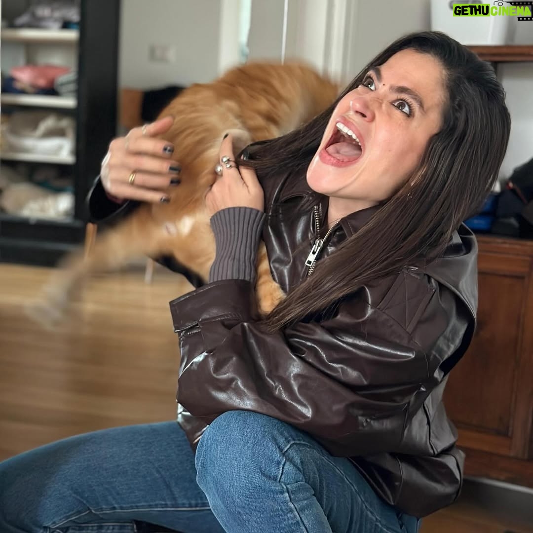 Veronica Gentili - 9.5K Likes - Questo è quello che succede ad un’inguaribile ottimista che dopo cinque anni ancora crede di potersi fare una foto con Palmiro. 
(Nessun gatto è stato maltrattato per la NON realizzazione di queste foto. Non si può affermare altrettanto dell’incauta genitrice)