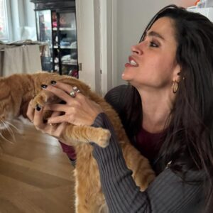 Veronica Gentili Instagram - Questo è quello che succede ad un’inguaribile ottimista che dopo cinque anni ancora crede di potersi fare una foto con Palmiro. 
(Nessun gatto è stato maltrattato per la NON realizzazione di queste foto. Non si può affermare altrettanto dell’incauta genitrice)