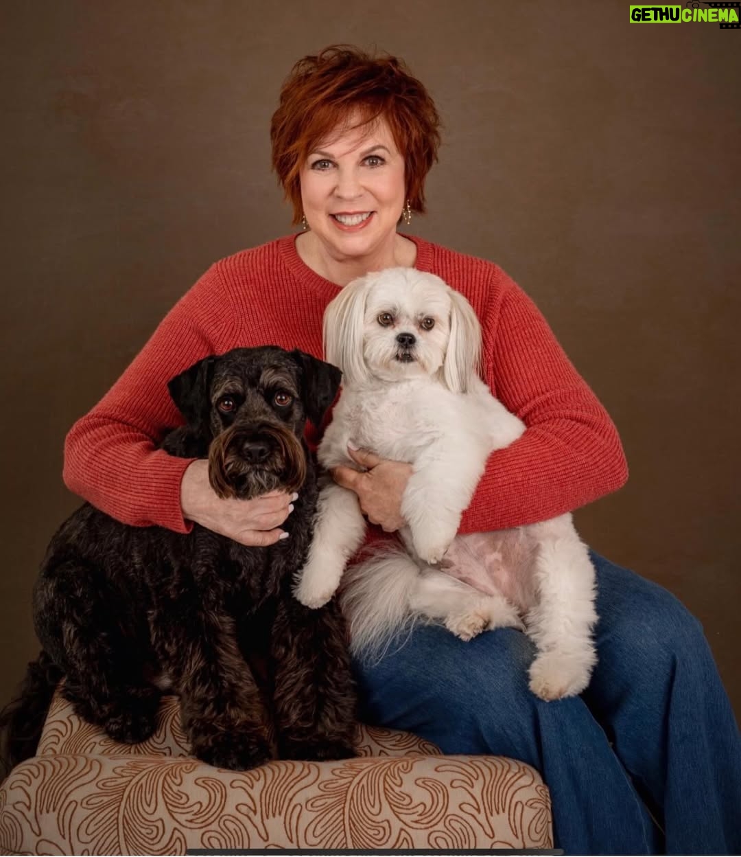 Vicki Lawrence - 4.3K Likes - If you’re thinking of getting a puppy or a cat for Christmas, rescue! Rescue one of the millions of animals in this country that need a home and some love. These are my babies, Toby and Hannah. Both rescues ❤️ My favorite organization is Retrievers And Friends in Temecula. They do an awesome job of placing their animals in a loving home. Maybe yours? Tell them Vicki sent you.❤️💕