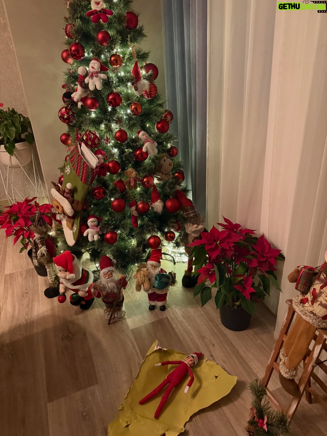 Viña Machado - 2.7K Likes - Así va diciembre.