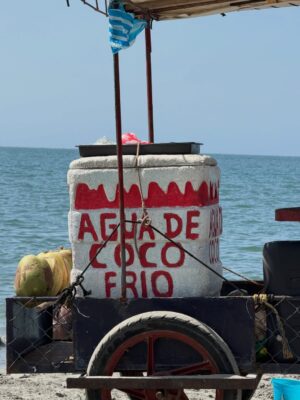 Viña Machado Instagram - Así va diciembre.