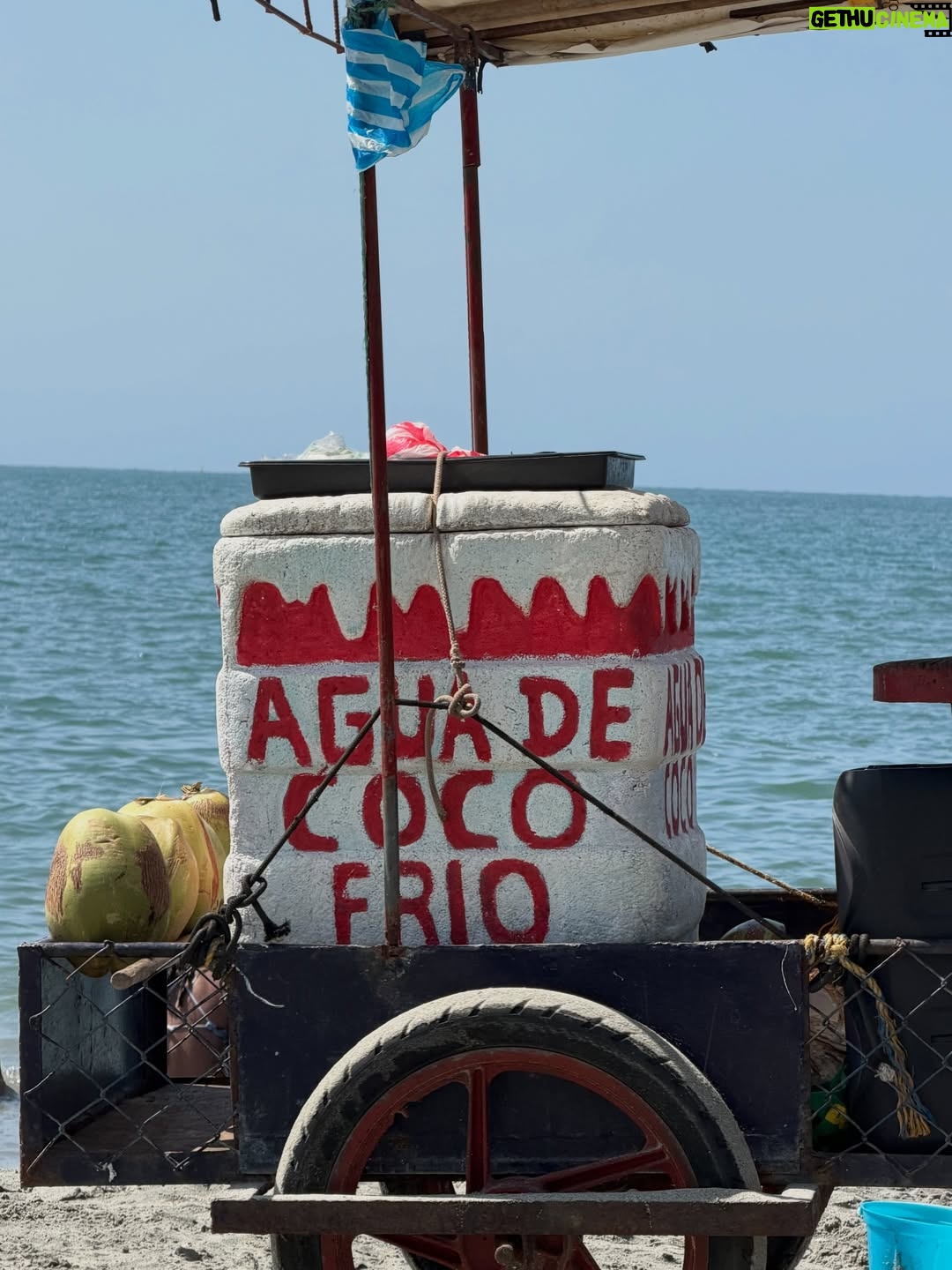 Viña Machado - 2.7K Likes - Así va diciembre.