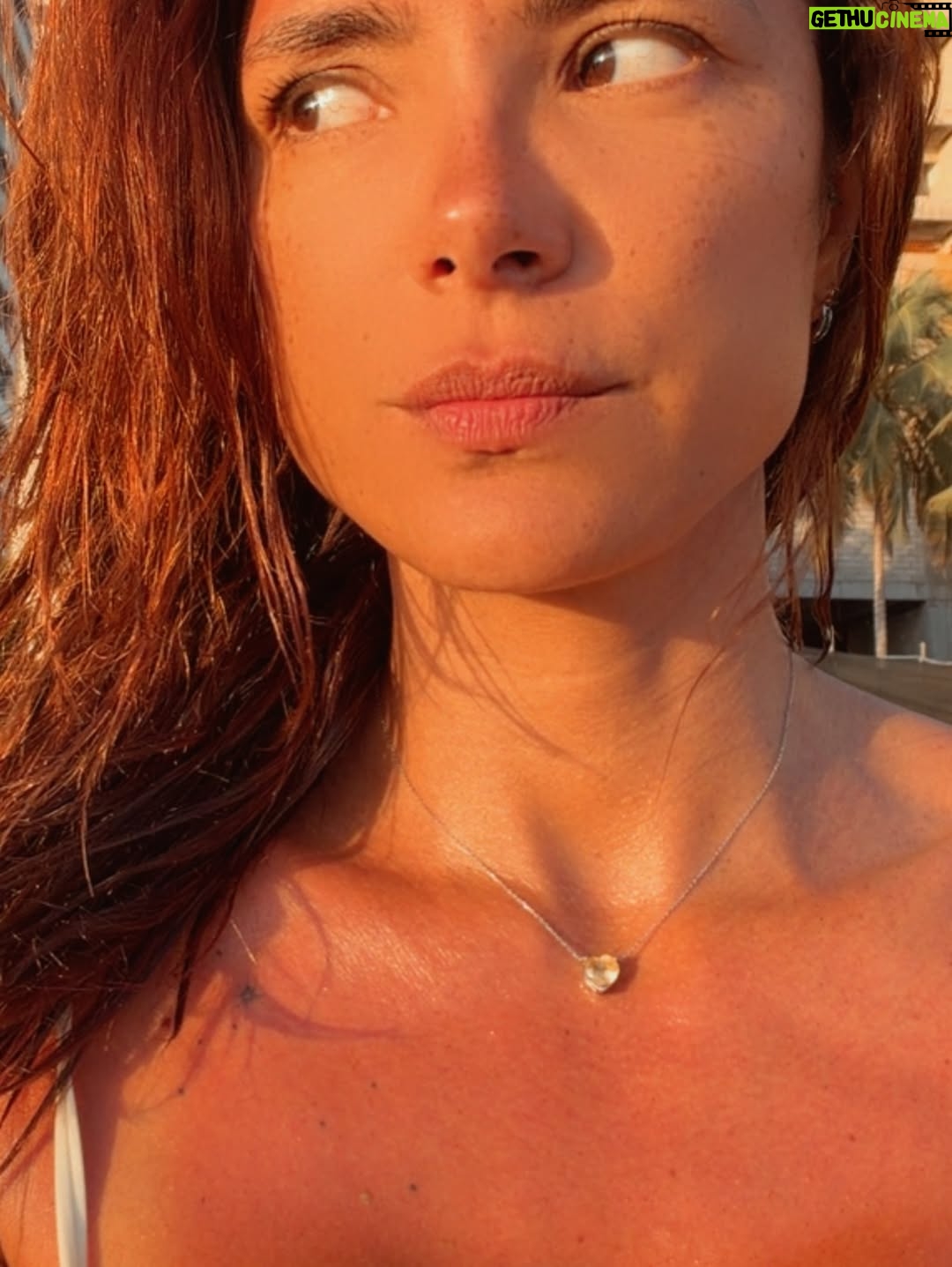 Viña Machado - 2.7K Likes - Así va diciembre.