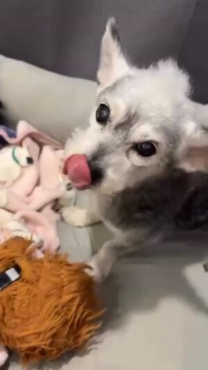 Vivi Lee Instagram - #請看到最後😆
不是每部影片都拍的那麼容易簡單的😌😆