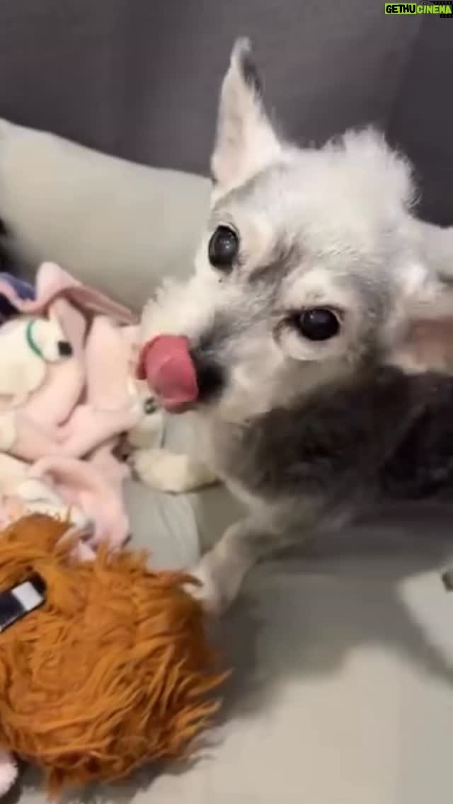 Vivi Lee - 6.4K Likes - #請看到最後😆
不是每部影片都拍的那麼容易簡單的😌😆