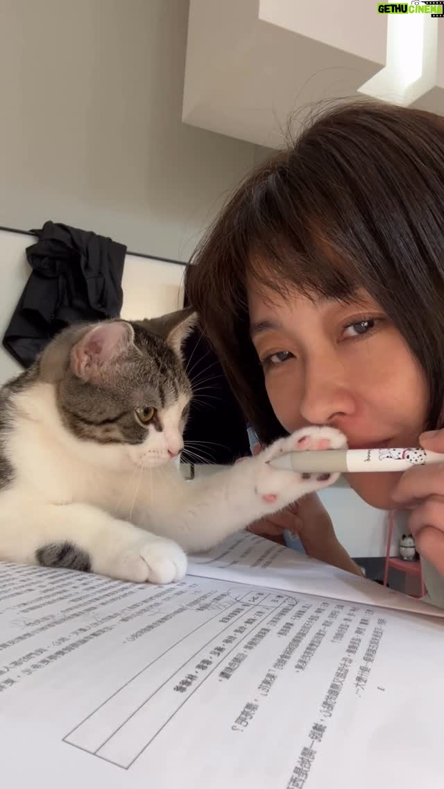 Vivi Lee - 1.5K Likes - 有需要伴讀本貓貓嗎～