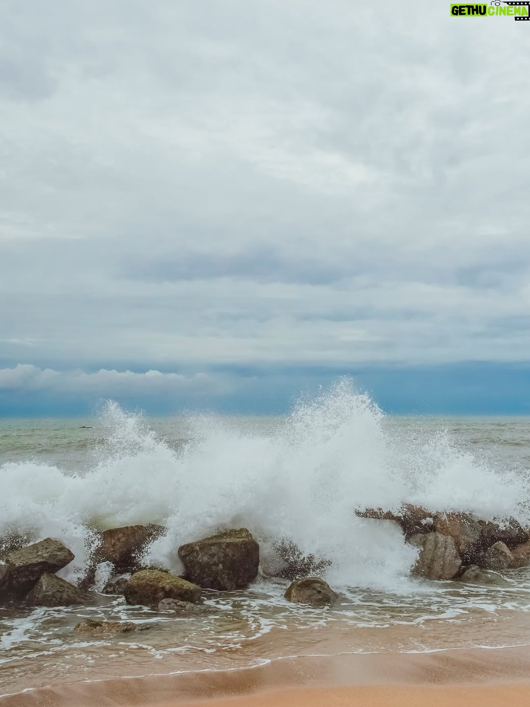 Vrushali Vachhiyat - 7.7K Likes - Keeping my mind,body and soul Hydrated 🌊🏝️🐳🇱🇰
.
#mirissa #srilanka #galle #travelgram #travellife #beachlife #islandlife #islandgirl #traveltheworld #srilankadiaries