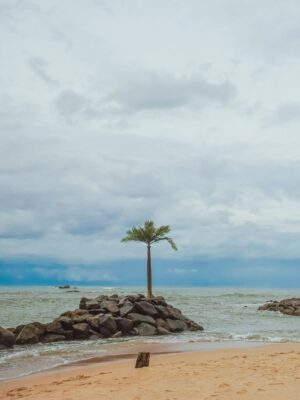 Vrushali Vachhiyat Instagram - Keeping my mind,body and soul Hydrated 🌊🏝️🐳🇱🇰
.
#mirissa #srilanka #galle #travelgram #travellife #beachlife #islandlife #islandgirl #traveltheworld #srilankadiaries