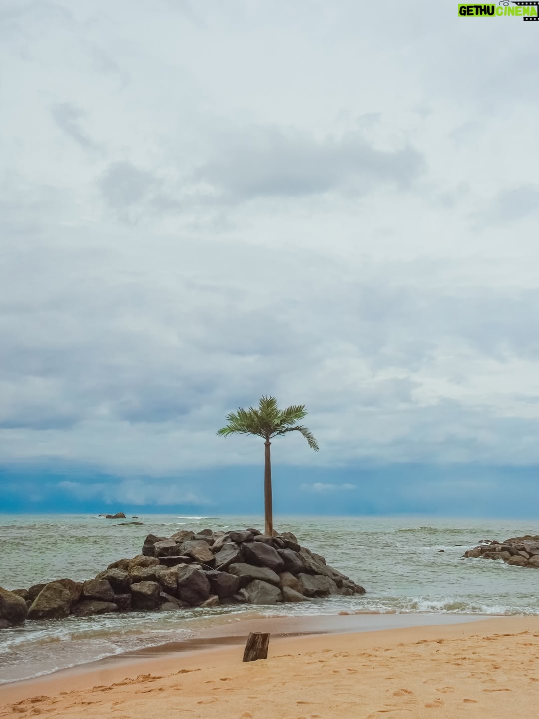 Vrushali Vachhiyat - 7.7K Likes - Keeping my mind,body and soul Hydrated 🌊🏝️🐳🇱🇰
.
#mirissa #srilanka #galle #travelgram #travellife #beachlife #islandlife #islandgirl #traveltheworld #srilankadiaries