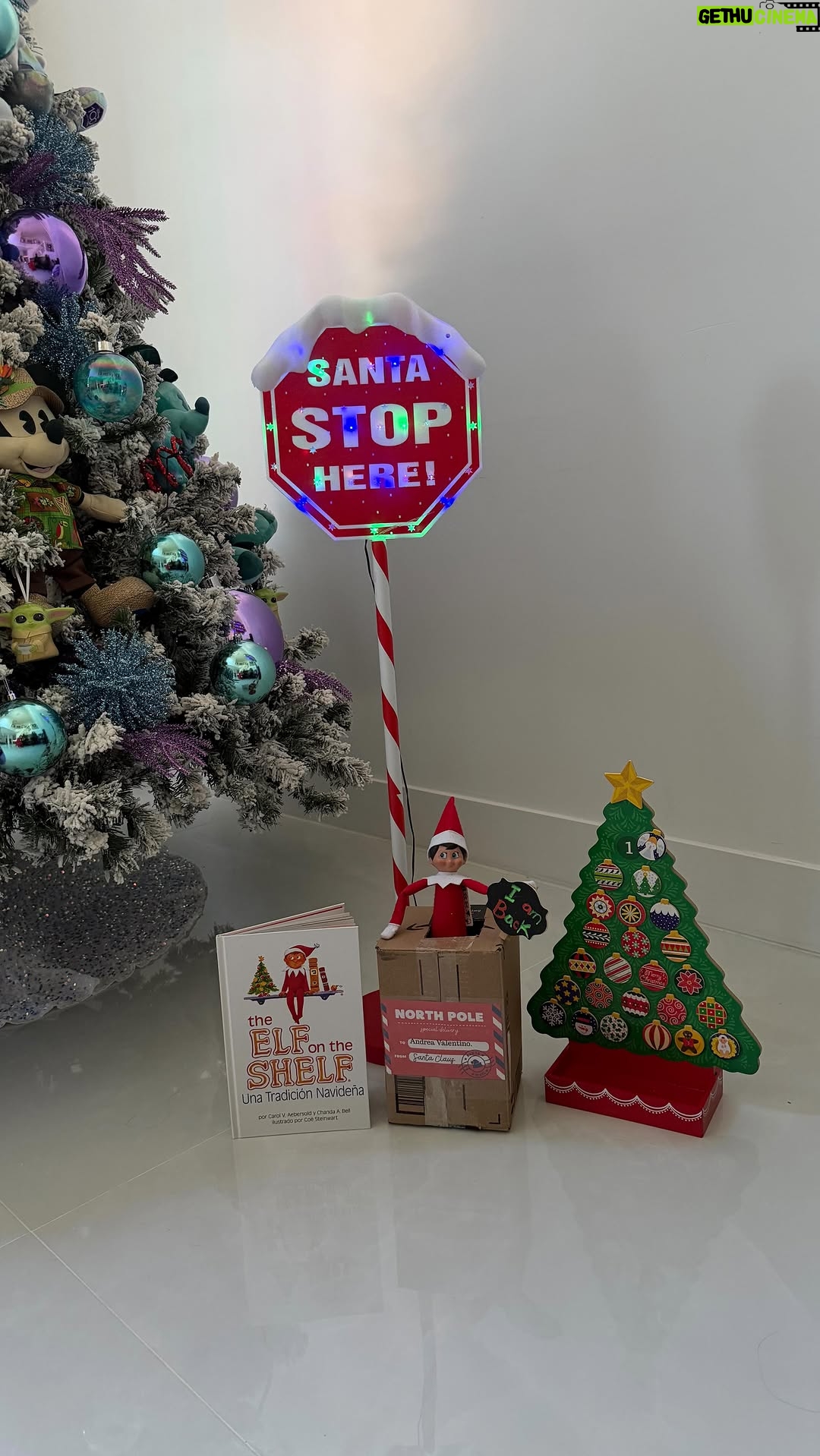 Wanda D'Isidoro - 2.8K Likes - Llegó diciembre y con él… ¡CHIPI!
Empiezan días de alegría desbordada y diversión absoluta para @andreavalentinozd #wave #navidad #chipi #elf