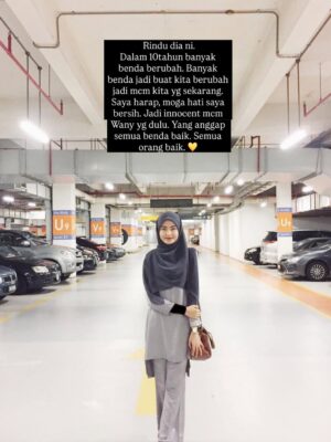Wany Hasrita Instagram - This is my 2016. š