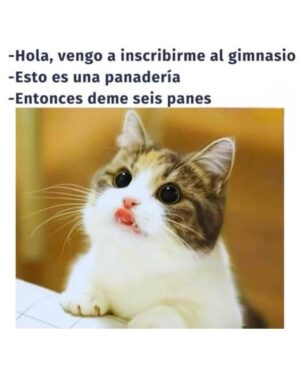 Wendy Ramos Instagram - Los memes prometidos 🤓
#SíSoy todos, menos el 6 🤭