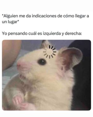 Wendy Ramos Instagram - Los memes prometidos 🤓
#SíSoy todos, menos el 6 🤭