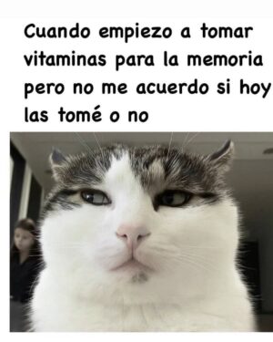 Wendy Ramos Instagram - Los memes prometidos 🤓
#SíSoy todos, menos el 6 🤭
