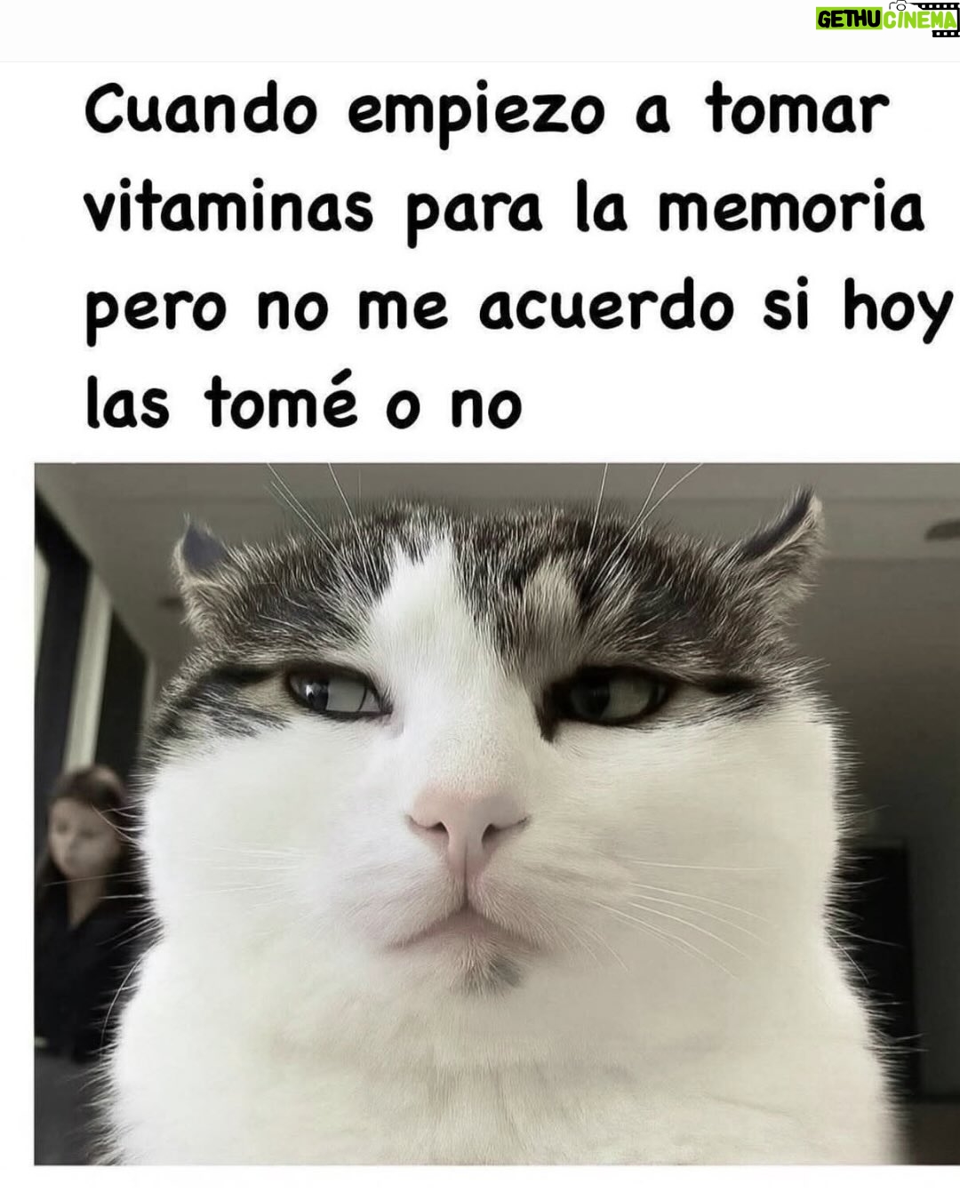 Wendy Ramos - 39.6K Likes - Los memes prometidos 🤓
#SíSoy todos, menos el 6 🤭