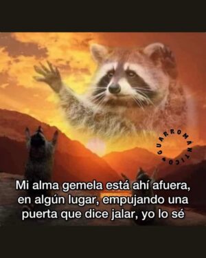 Wendy Ramos Instagram - Los memes prometidos 🤓
#SíSoy todos, menos el 6 🤭