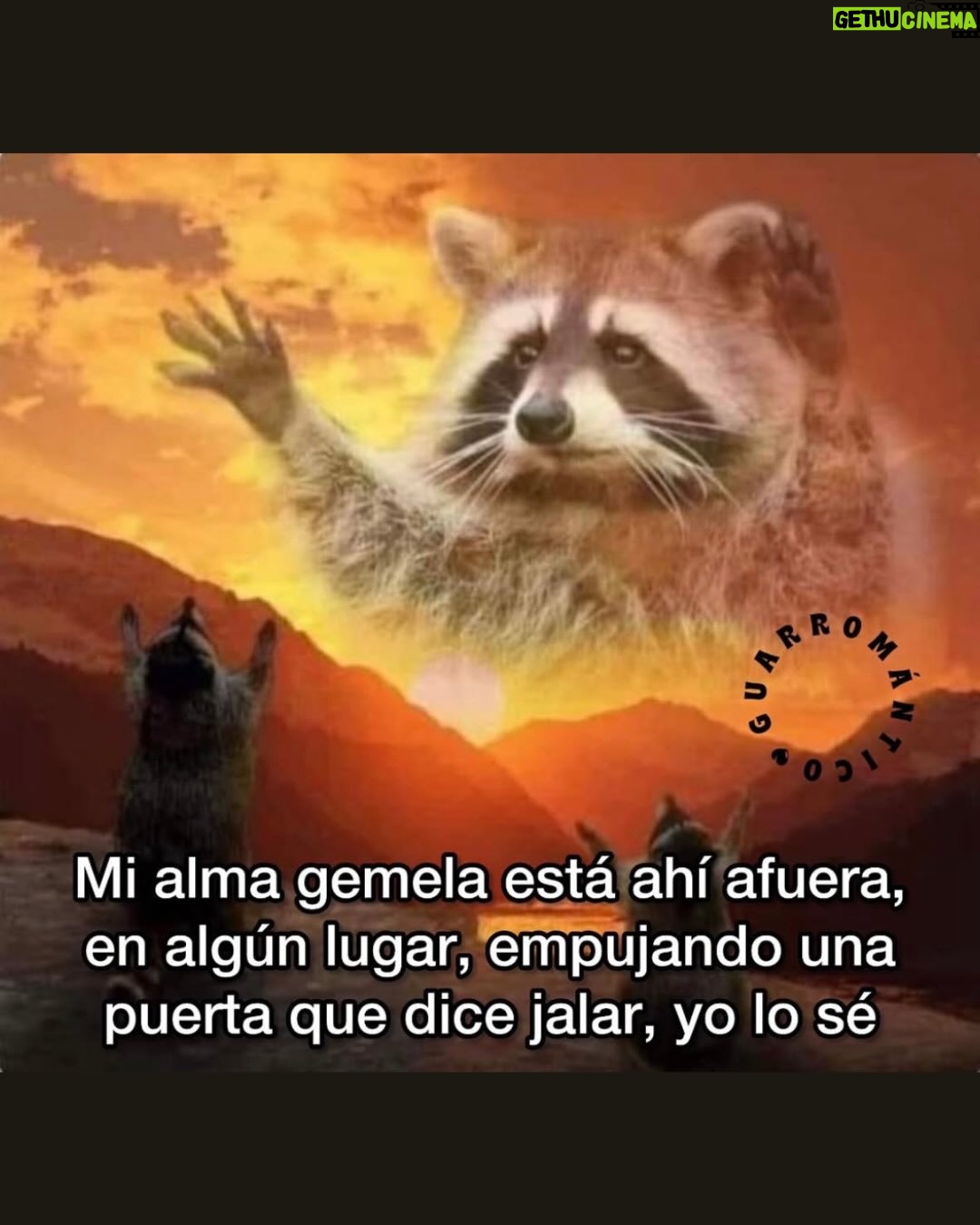 Wendy Ramos - 39.6K Likes - Los memes prometidos 🤓
#SíSoy todos, menos el 6 🤭