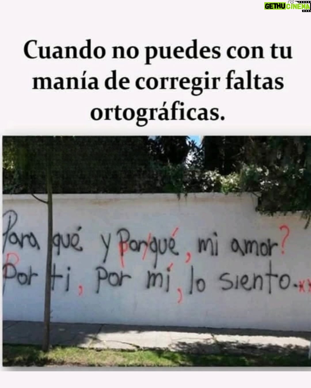 Wendy Ramos - 39.6K Likes - Los memes prometidos 🤓
#SíSoy todos, menos el 6 🤭
