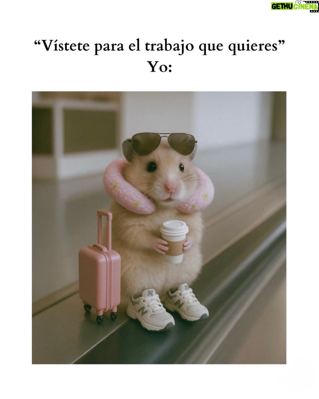 Wendy Ramos - 39.6K Likes - Los memes prometidos 🤓
#SíSoy todos, menos el 6 🤭