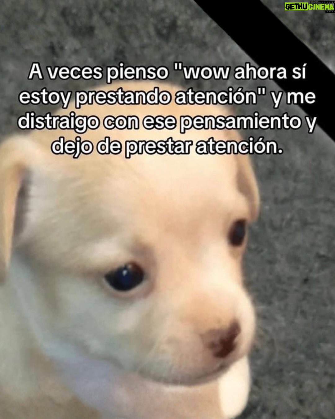 Wendy Ramos - 39.6K Likes - Los memes prometidos 🤓
#SíSoy todos, menos el 6 🤭