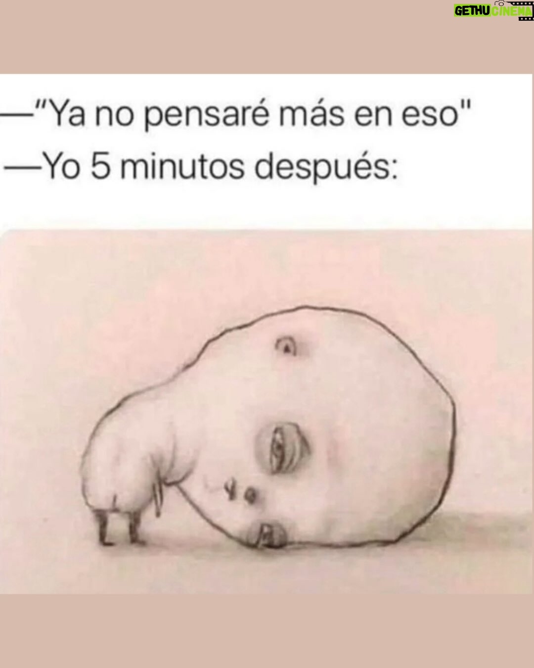 Wendy Ramos - 59.8K Likes - Este año me he reído mucho con los memes que iba encontrando y compartiendo con ustedes en mis historias 😁
Hoy quería subir 20… pero terminé escogiendo 32🤭
Así que pensé subir 16 hoy y 16 el sábado, ¿ya? (mañana subo algo especial)♥️
Un poco de risa siempre viene bien, besos para todos 🤗

Háganse un año maravilloso ♥️
