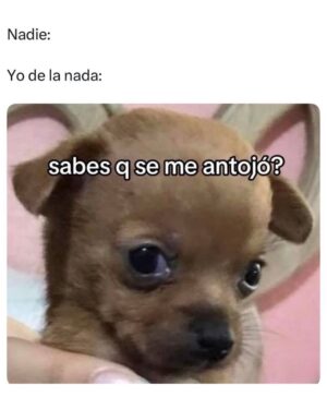 Wendy Ramos Instagram - Este año me he reído mucho con los memes que iba encontrando y compartiendo con ustedes en mis historias 😁
Hoy quería subir 20… pero terminé escogiendo 32🤭
Así que pensé subir 16 hoy y 16 el sábado, ¿ya? (mañana subo algo especial)♥️
Un poco de risa siempre viene bien, besos para todos 🤗
Háganse un año maravilloso ♥️