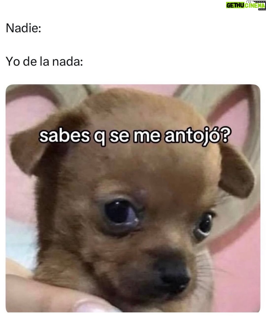 Wendy Ramos - 59.8K Likes - Este año me he reído mucho con los memes que iba encontrando y compartiendo con ustedes en mis historias 😁
Hoy quería subir 20… pero terminé escogiendo 32🤭
Así que pensé subir 16 hoy y 16 el sábado, ¿ya? (mañana subo algo especial)♥️
Un poco de risa siempre viene bien, besos para todos 🤗

Háganse un año maravilloso ♥️