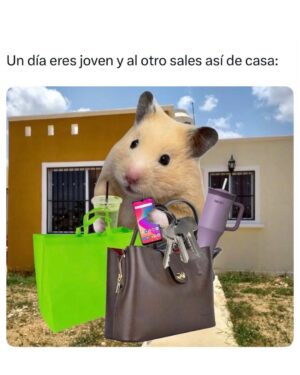 Wendy Ramos Instagram - Este año me he reído mucho con los memes que iba encontrando y compartiendo con ustedes en mis historias 😁
Hoy quería subir 20… pero terminé escogiendo 32🤭
Así que pensé subir 16 hoy y 16 el sábado, ¿ya? (mañana subo algo especial)♥️
Un poco de risa siempre viene bien, besos para todos 🤗
Háganse un año maravilloso ♥️