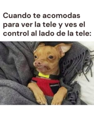 Wendy Ramos Instagram - Este año me he reído mucho con los memes que iba encontrando y compartiendo con ustedes en mis historias 😁
Hoy quería subir 20… pero terminé escogiendo 32🤭
Así que pensé subir 16 hoy y 16 el sábado, ¿ya? (mañana subo algo especial)♥️
Un poco de risa siempre viene bien, besos para todos 🤗
Háganse un año maravilloso ♥️
