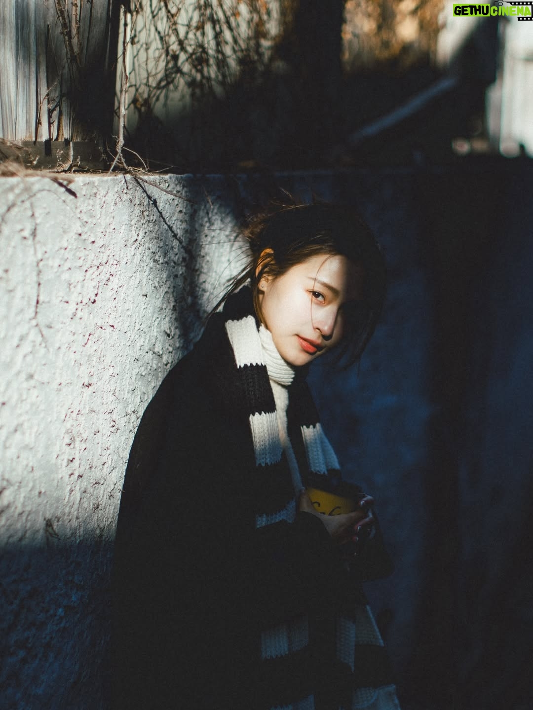 Winnie Wu - 9.7K Likes - 冬の風と、やさしい光🧣

今天是平安夜，
希望世界真的都能平平安安。