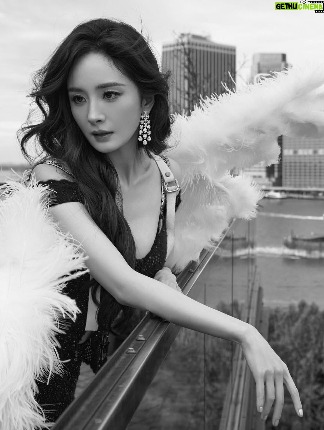 Yang Mi - 92.8K Likes - 第一次来到现场看维密的大秀🪽
惊喜💕开心🥳

#victoriassecret 
#victoriassecretfashionshow