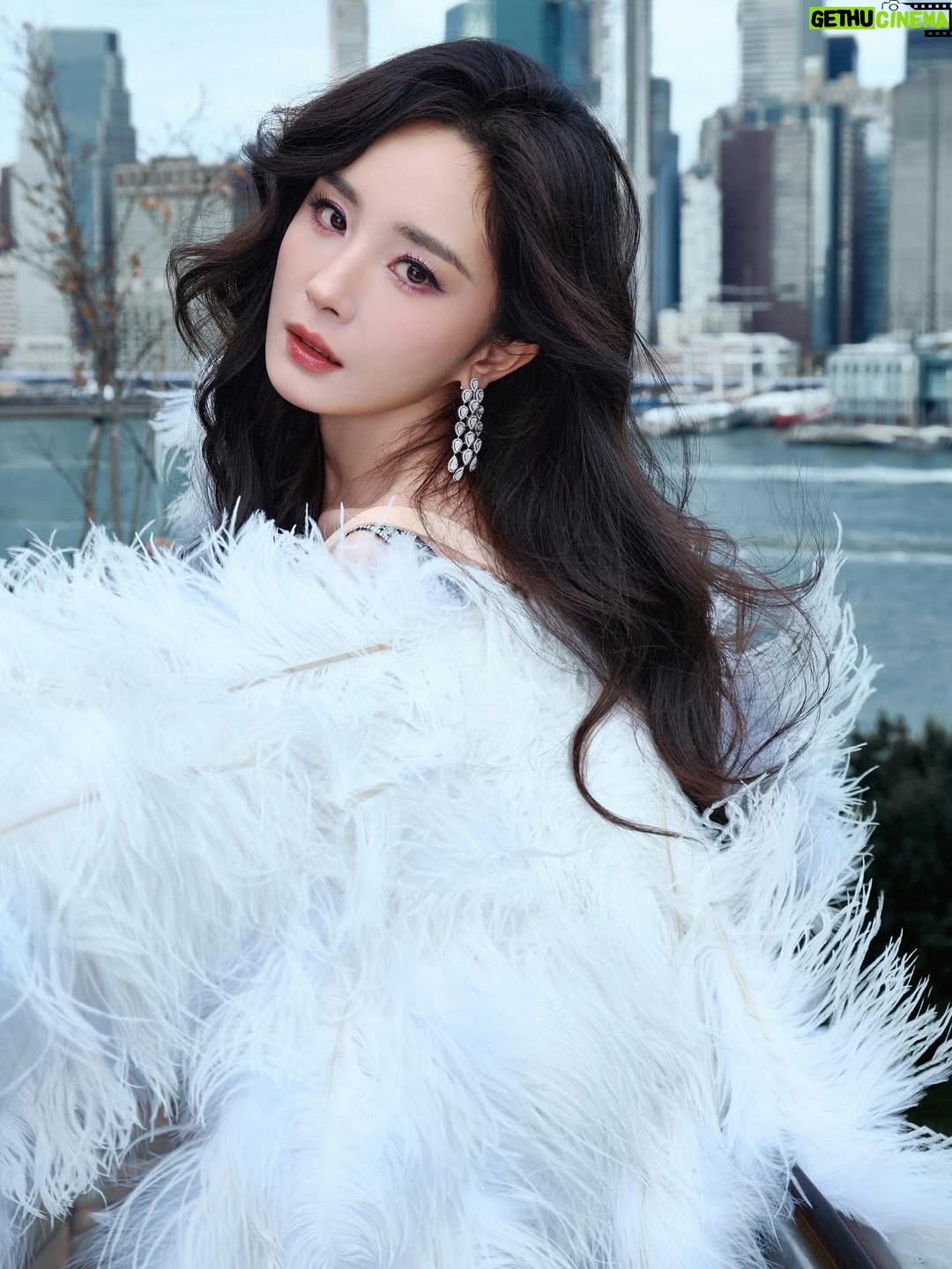 Yang Mi - 92.8K Likes - 第一次来到现场看维密的大秀🪽
惊喜💕开心🥳

#victoriassecret 
#victoriassecretfashionshow