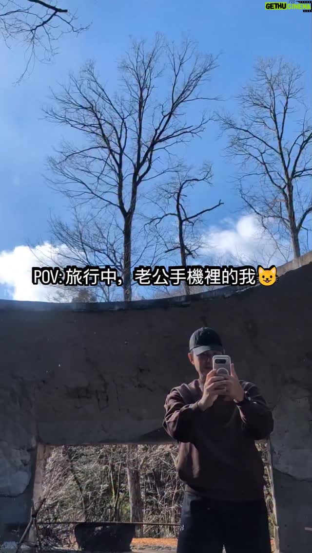 Yu-Tung Hsia - 4.9K Likes - 😺🌟