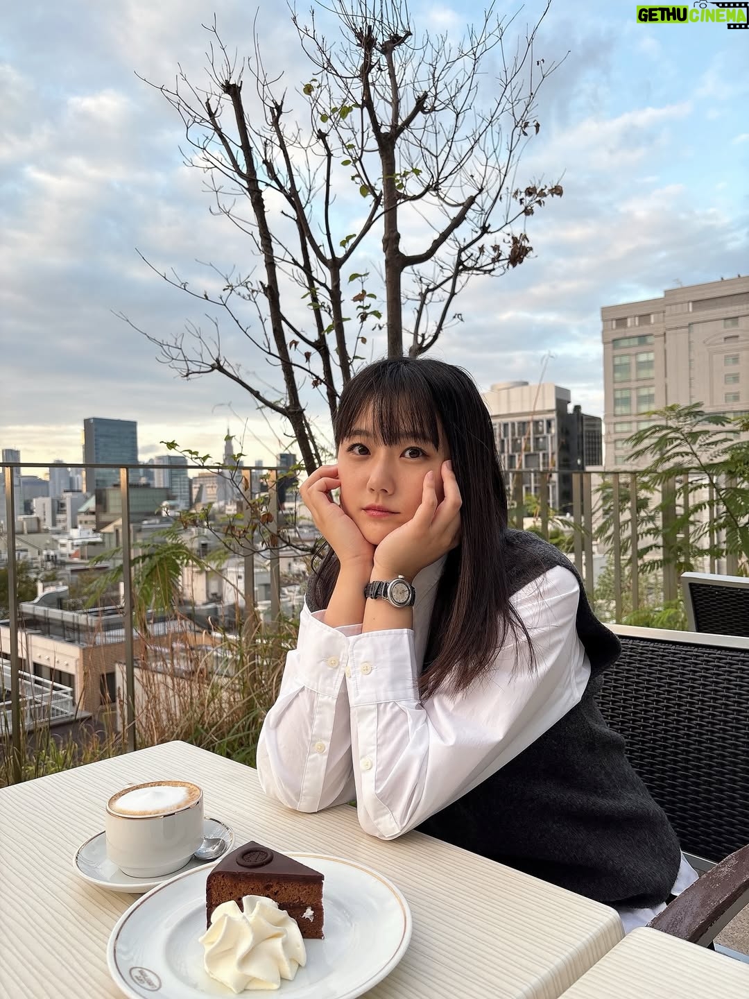 Yumiko Takino - 4.3K Likes - テラス席が好きな季節🫖

#カフェ #カフェテラス