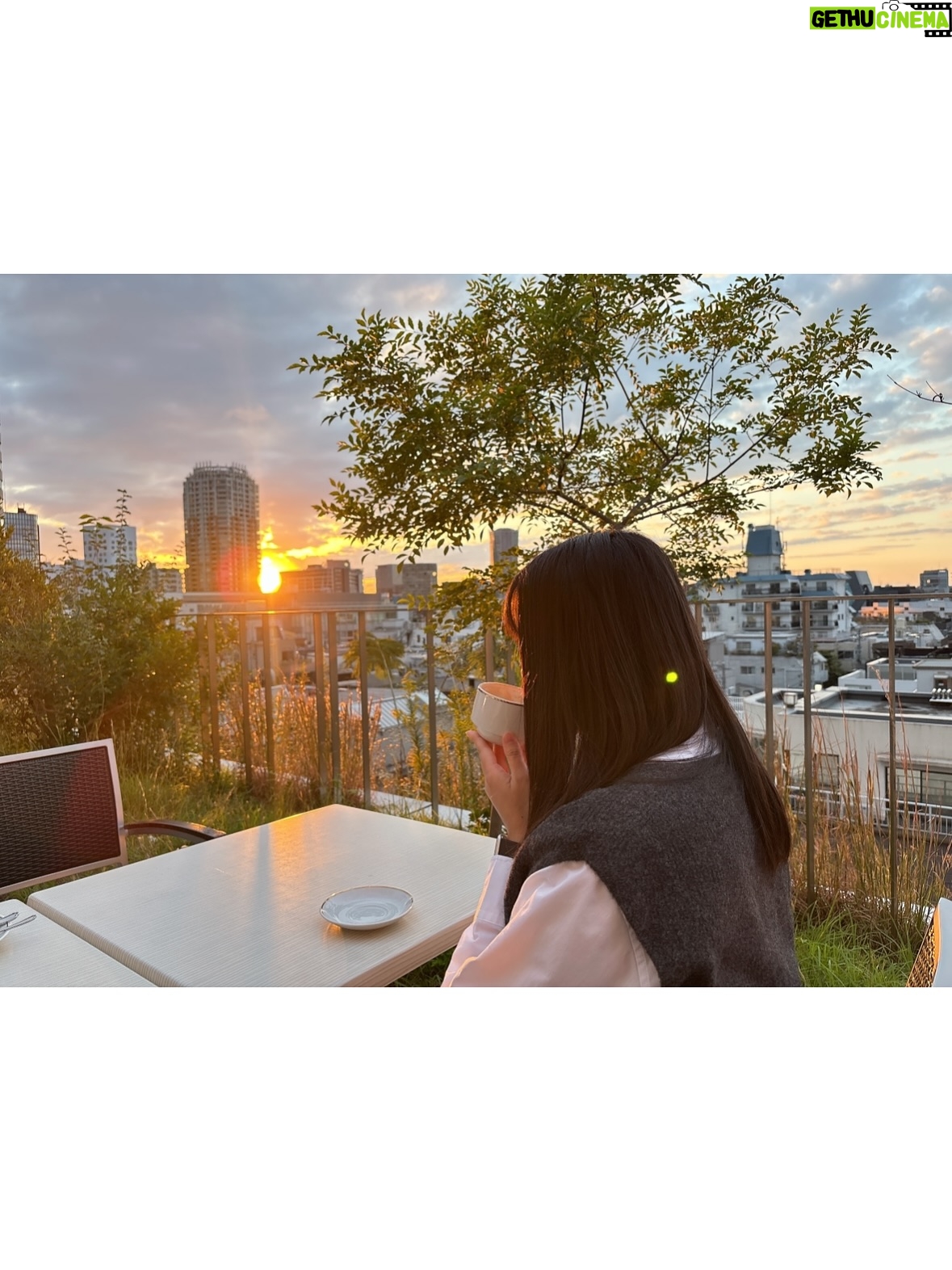 Yumiko Takino - 4.3K Likes - テラス席が好きな季節🫖

#カフェ #カフェテラス