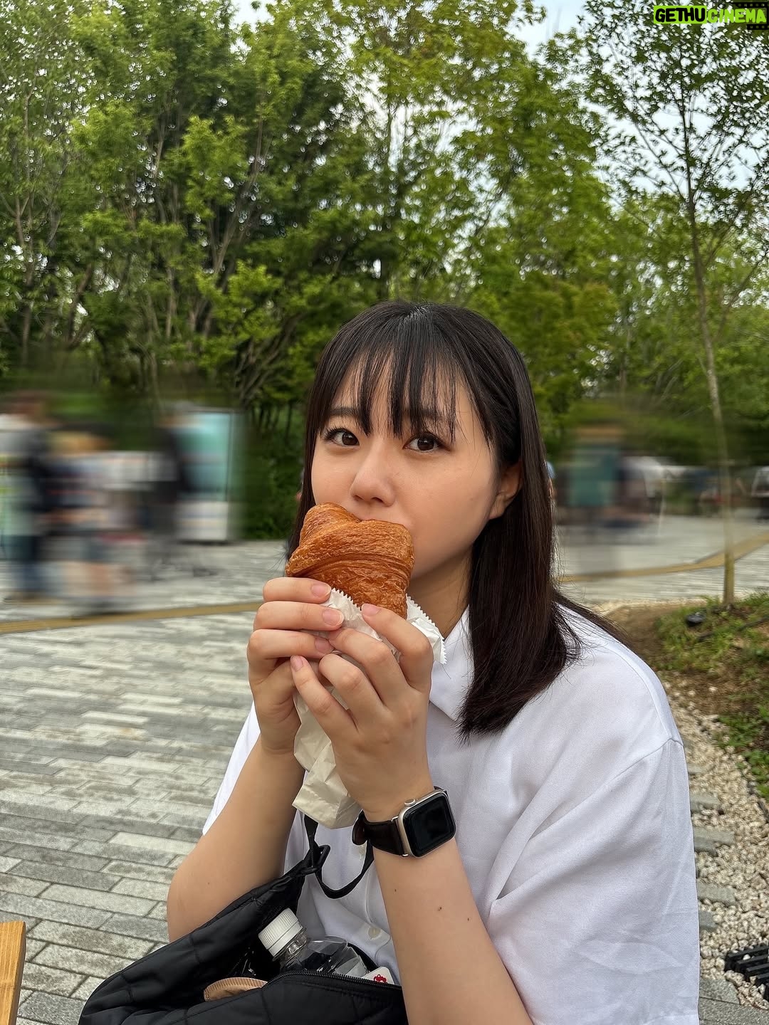 Yumiko Takino - 4.9K Likes - フランス館のクロワッサン🥐🇫🇷
万博限定の味は売り切れだった〜🥲

#大阪関西万博 #大阪万博 #万博 #expo2025 #osaka 
#万博グルメ #フランス館