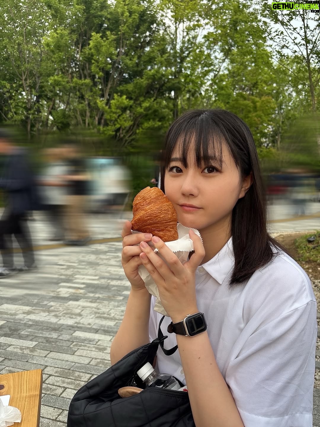 Yumiko Takino - 4.9K Likes - フランス館のクロワッサン🥐🇫🇷
万博限定の味は売り切れだった〜🥲

#大阪関西万博 #大阪万博 #万博 #expo2025 #osaka 
#万博グルメ #フランス館