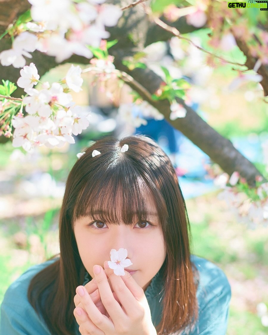 Yumiko Takino - 5.2K Likes - 『瀧野由美子カレンダー2025.04-2026.03』

5月になり、告知が遅くなりましたが、、
今年もカレンダーを発売いたしました！
4度に渡る撮影で、四季折々の私を見ていただけると思います🌸
卓上カレンダーなので、ぜひデスクのお供に！
関連グッズも好評発売中です📅