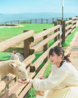 Yumiko Takino Instagram - 『瀧野由美子カレンダー2025.04-2026.03』

5月になり、告知が遅くなりましたが、、
今年もカレンダーを発売いたしました！
4度に渡る撮影で、四季折々の私を見ていただけると思います🌸
卓上カレンダーなので、ぜひデスクのお供に！
関連グッズも好評発売中です📅