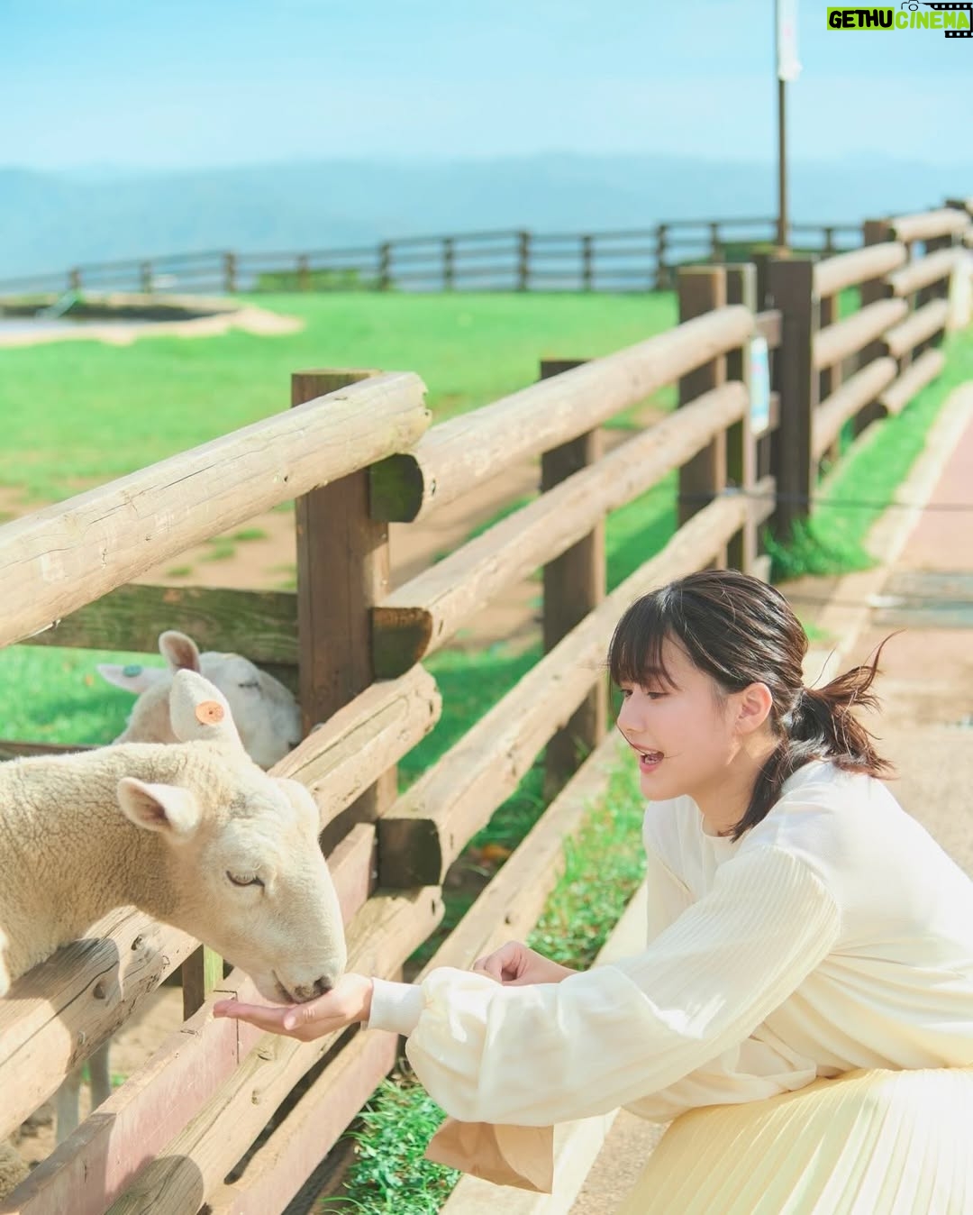 Yumiko Takino - 5.2K Likes - 『瀧野由美子カレンダー2025.04-2026.03』

5月になり、告知が遅くなりましたが、、
今年もカレンダーを発売いたしました！
4度に渡る撮影で、四季折々の私を見ていただけると思います🌸
卓上カレンダーなので、ぜひデスクのお供に！
関連グッズも好評発売中です📅