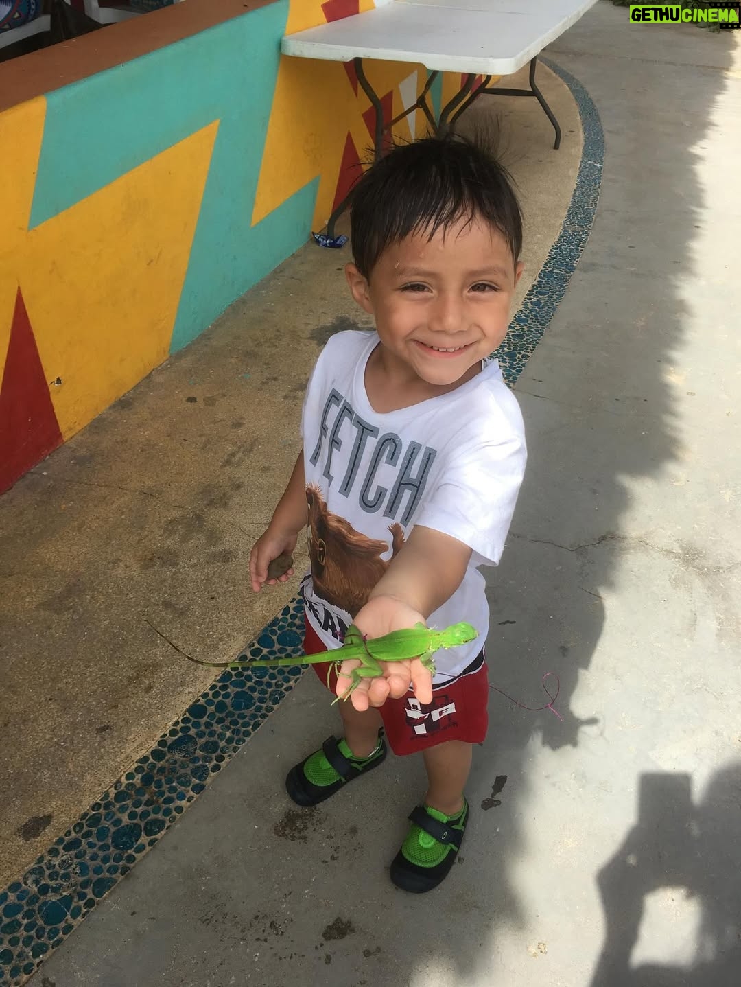 Zahie Téllez - 7.2K Likes - Parte 2 de mi #2016 

Un año de muchos cambios y el más grande fue ver a mi Mariano pasar de ser un bebé a un niño pequeño, cuando veo estas fotos siento nostalgia, pero también mucho amor ❤️ 

Sin duda alguna, recordar es volver a vivir 💃🏻