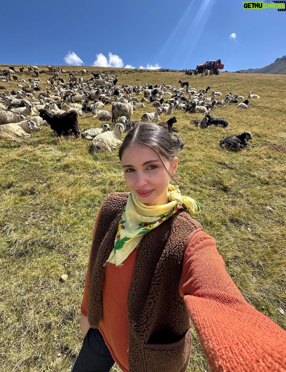 Zeynep Atılgan - 603.3K Likes - 1 ) Fadime Koçari ☘️
2 ) Keçiler ve Fadime Koçari 🐐☘️
3 ) Koçariler 😎
4 ) keçiyle biz 😍
5 ) keçiyle ben ☺️
6 ) bi keçi daha 🤗
7 )  Behçet ile adam asmaca 🥰
8 )  bi sütlaç yeduk da 
9 )  abi kardeş pozumuz 🧿
10) halasinin ballisi 💖
11) 😍😍
12) kafasında mimi olan denizim baysalım 
13) reyting haberini almış olan denizim baysalım
14) ula bi çay ictuk
15) horon dersimuz 👯‍♂️
16) ha boyle uzun bi yolda biz 
17) koçariler 🤝🏻 trabzonspor ♥️💙
18) kaçırılan fadime koçari 😡
19) ICON 
20) gökhan da silahla vuramayınca kılıca geçti galiba bilmiyorum 🫠