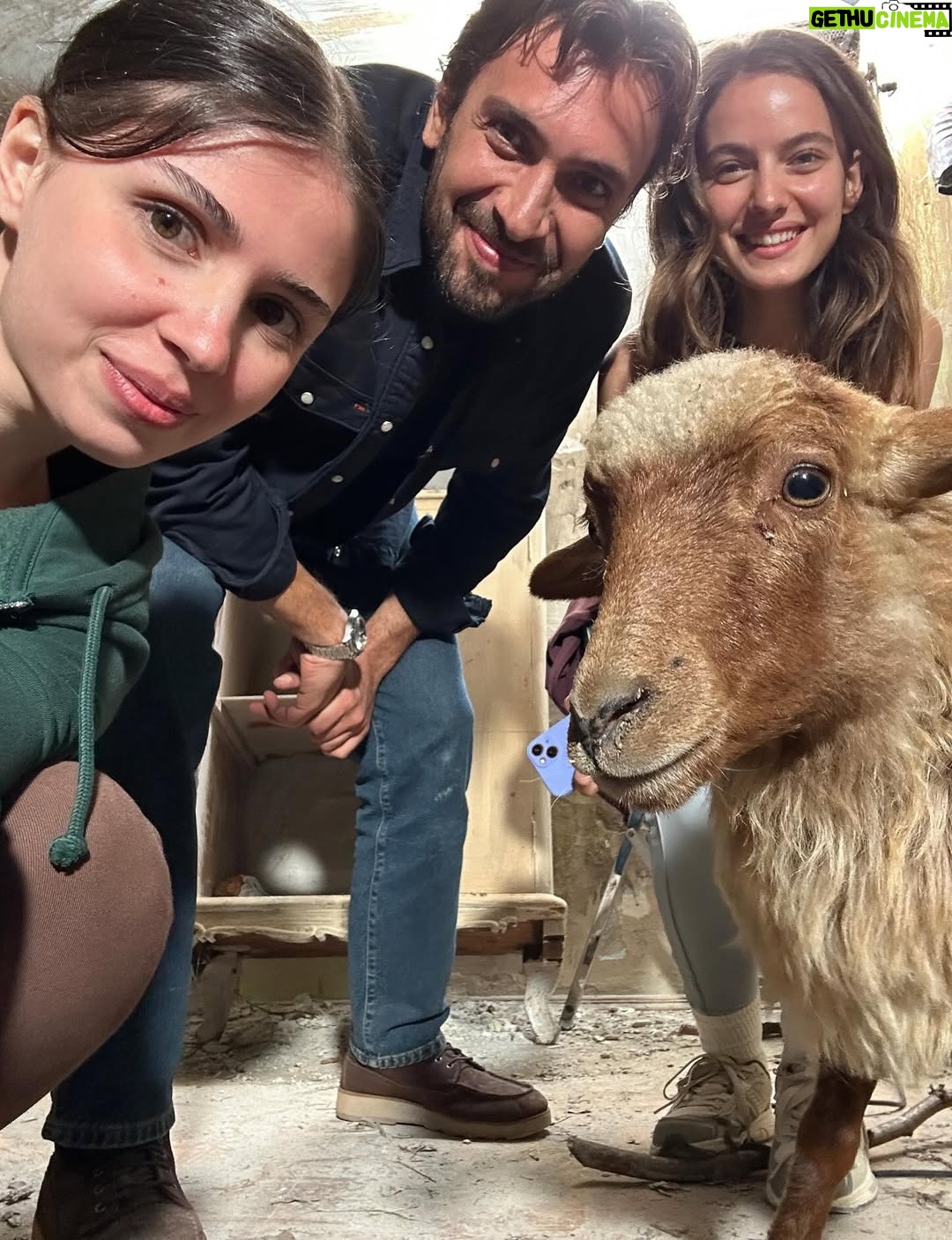 Zeynep Atılgan - 603.3K Likes - 1 ) Fadime Koçari ☘️
2 ) Keçiler ve Fadime Koçari 🐐☘️
3 ) Koçariler 😎
4 ) keçiyle biz 😍
5 ) keçiyle ben ☺️
6 ) bi keçi daha 🤗
7 )  Behçet ile adam asmaca 🥰
8 )  bi sütlaç yeduk da 
9 )  abi kardeş pozumuz 🧿
10) halasinin ballisi 💖
11) 😍😍
12) kafasında mimi olan denizim baysalım 
13) reyting haberini almış olan denizim baysalım
14) ula bi çay ictuk
15) horon dersimuz 👯‍♂️
16) ha boyle uzun bi yolda biz 
17) koçariler 🤝🏻 trabzonspor ♥️💙
18) kaçırılan fadime koçari 😡
19) ICON 
20) gökhan da silahla vuramayınca kılıca geçti galiba bilmiyorum 🫠