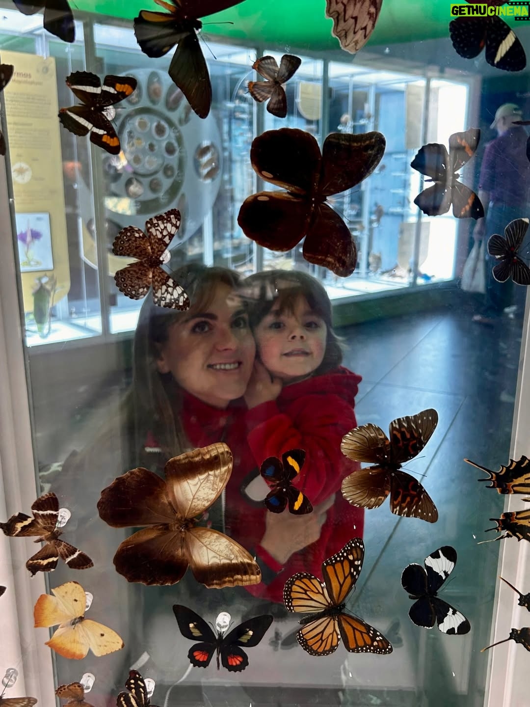 Zoraida Gómez - 2.1K Likes - Un día increíble de museo de juego y de naturaleza, un día diferente lleno de momentos especiales 
#crea #acciona #vive #ama